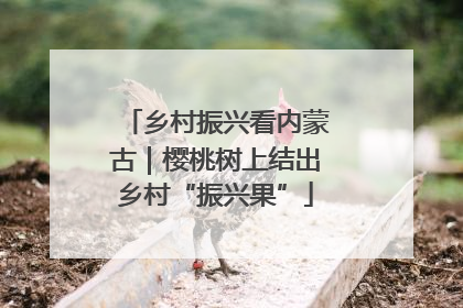 乡村振兴看内蒙古｜樱桃树上结出乡村“振兴果”