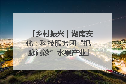 乡村振兴｜湖南安化：科技服务团“把脉问诊”水果产业