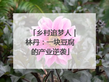 乡村追梦人｜林丹：一块豆腐的产业逆袭