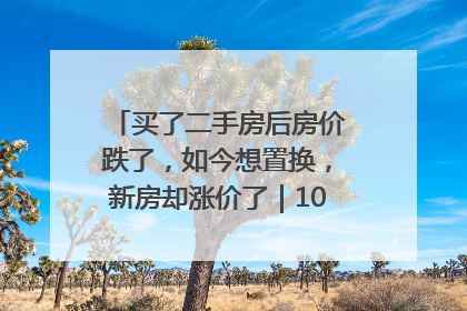 买了二手房后房价跌了，如今想置换，新房却涨价了｜100个买房故事