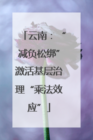 云南：“减负松绑”激活基层治理“乘法效应”