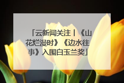 云新闻关注丨《山花烂漫时》《边水往事》入围白玉兰奖