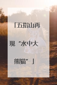 五指山再现“水中大熊猫”