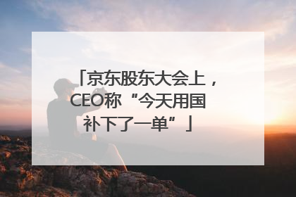 京东股东大会上，CEO称“今天用国补下了一单”