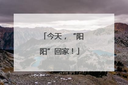 今天，“阳阳”回家！
