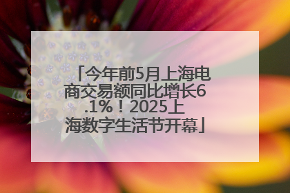 今年前5月上海电商交易额同比增长6.1%！2025上海数字生活节开幕