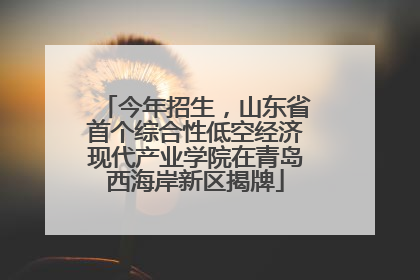 今年招生，山东省首个综合性低空经济现代产业学院在青岛西海岸新区揭牌