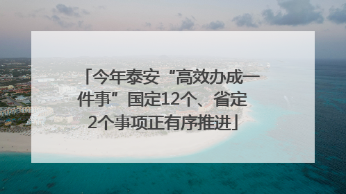 今年泰安“高效办成一件事”国定12个、省定2个事项正有序推进