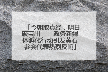 今朝取真经，明日破茧出——政务新媒体孵化行动引发黄石参会代表热烈反响