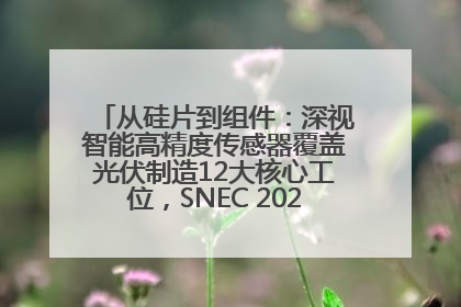 从硅片到组件：深视智能高精度传感器覆盖光伏制造12大核心工位，SNEC 2025诚邀见证