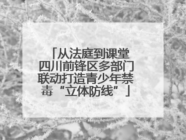 从法庭到课堂 四川前锋区多部门联动打造青少年禁毒“立体防线”