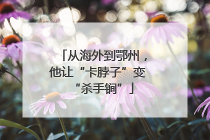 从海外到鄂州，他让“卡脖子”变“杀手锏”