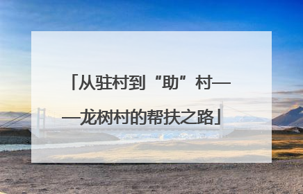 从驻村到“助”村——龙树村的帮扶之路
