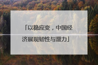 以稳应变，中国经济展现韧性与潜力