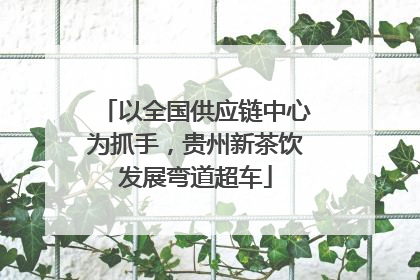 以全国供应链中心为抓手，贵州新茶饮发展弯道超车