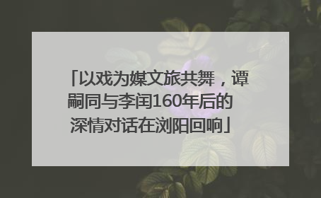 以戏为媒文旅共舞，谭嗣同与李闰160年后的深情对话在浏阳回响