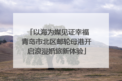 以海为媒见证幸福 青岛市北区邮轮母港开启浪漫婚旅新体验