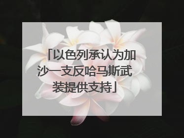 以色列承认为加沙一支反哈马斯武装提供支持