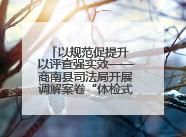 以规范促提升 以评查强实效——商南县司法局开展调解案卷“体检式”评查行动