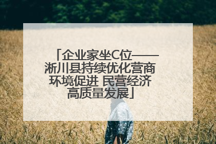 企业家坐C位——淅川县持续优化营商环境促进 民营经济高质量发展