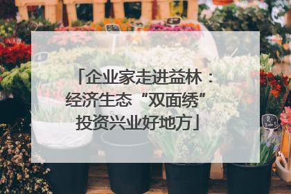 企业家走进益林：经济生态“双面绣” 投资兴业好地方