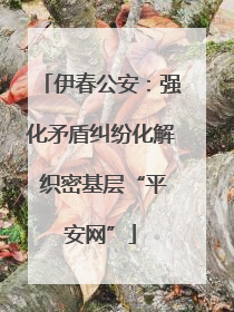 伊春公安：强化矛盾纠纷化解 织密基层“平安网”