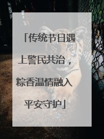 传统节日遇上警民共治，粽香温情融入平安守护