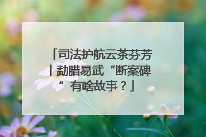 司法护航云茶芬芳丨勐腊易武“断案碑”有啥故事？
