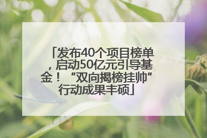 发布40个项目榜单，启动50亿元引导基金！“双向揭榜挂帅”行动成果丰硕