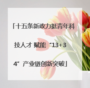 十五条新政力挺青年科技人才 赋能“13+34”产业链创新突破