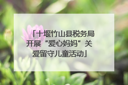 十堰竹山县税务局开展“爱心妈妈”关爱留守儿童活动