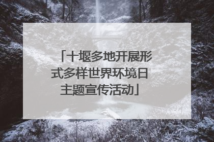 十堰多地开展形式多样世界环境日主题宣传活动