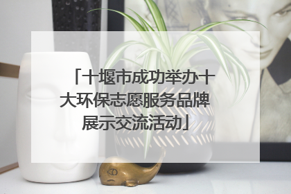 十堰市成功举办十大环保志愿服务品牌展示交流活动