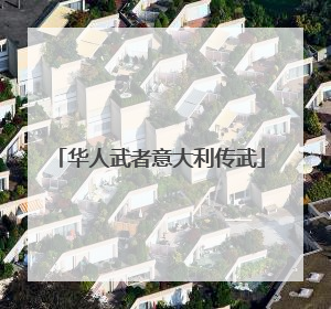 华人武者意大利传武