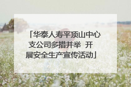 华泰人寿平顶山中心支公司多措并举  开展安全生产宣传活动