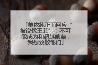 单依纯正面回应“被说像王菲”：不可能成为和超越前辈，我想致敬他们