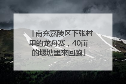 南充嘉陵区下张村里的龙舟赛，40亩的堰塘里来回跑