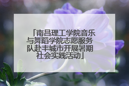 南昌理工学院音乐与舞蹈学院志愿服务队赴丰城市开展暑期社会实践活动