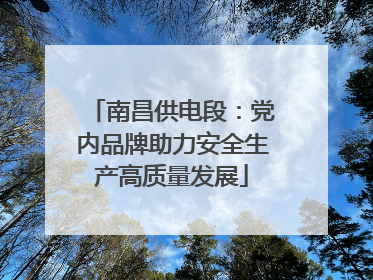 南昌供电段：党内品牌助力安全生产高质量发展