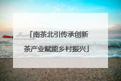 南茶北引传承创新 茶产业赋能乡村振兴