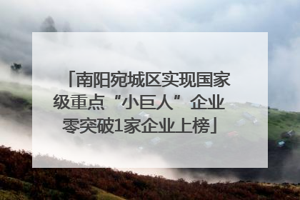南阳宛城区实现国家级重点“小巨人”企业零突破1家企业上榜