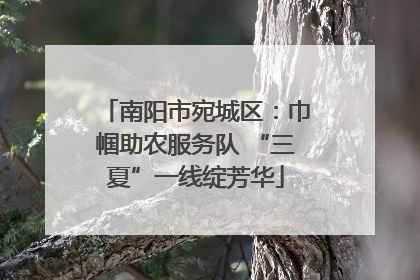 南阳市宛城区：巾帼助农服务队 “三夏”一线绽芳华
