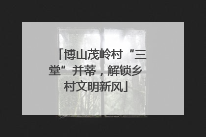 博山茂岭村“三堂”并蒂，解锁乡村文明新风