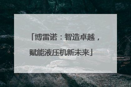 博雷诺：智造卓越，赋能液压机新未来