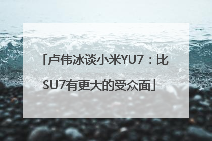 卢伟冰谈小米YU7：比SU7有更大的受众面
