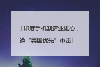 印度手机制造业雄心，遭“美国优先”重击