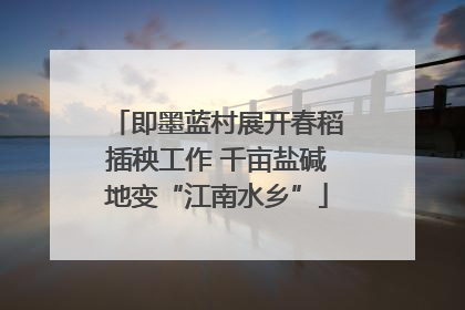 即墨蓝村展开春稻插秧工作 千亩盐碱地变“江南水乡”