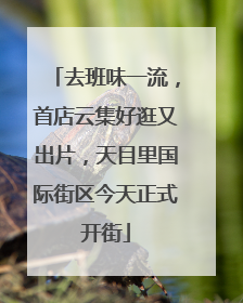 去班味一流，首店云集好逛又出片，天目里国际街区今天正式开街