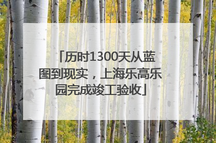 历时1300天从蓝图到现实，上海乐高乐园完成竣工验收