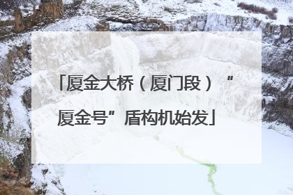 厦金大桥（厦门段）“厦金号”盾构机始发